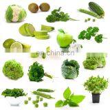 Fruit and Vegetable Cleaning Equipment Blueberry Washing Machine Orange Fruit Washing Machine thumbnail-3