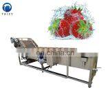 Fruit and Vegetable Cleaning Machine Fruit Washing Equipment Vegetable Bubble Washing Machine thumbnail-3