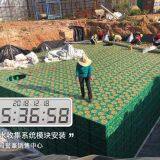 Best Diy Rainwater Collection System thumbnail-5