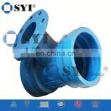 Ductile Iron Flange Strianer thumbnail-2