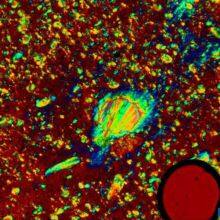 Professional Polarizing Microscope MP41 thumbnail-2