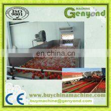 Complete Small Tomato Paste Machines for Tomato Sauce Processing thumbnail-4