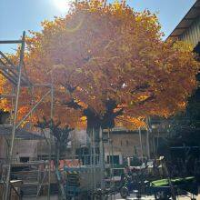 Искусственные красные клёпы и банианы. Большие поддельные осенние деревья. Симуляция искусственных растений с листьями для торгового центра