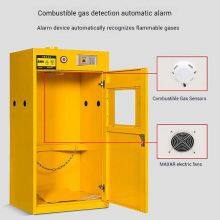 Heavy-Duty Steel Gas Bottle Cabinet With Safety Locks and Leak Detection Sensor for Lab / R&D Center thumbnail-5