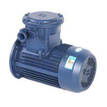 Explosion-proof Motors for Coal Mine and Petroleum Machinery Ybx4-80m1-2 0.75kw Ybx4-80m2-2 1.1kw thumbnail-5