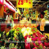 Provide Free Samples of High Quality Fruit Net thumbnail-5