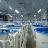 Large Fiberglass Aquaponics Tank for Sale thumbnail-1