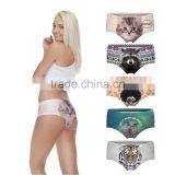 Wet Ladie Hot Sexy Panties Pug Dog Cut Cat Sexy Girls Tight Lingerie Stretchy Underpanties 3d Digital Full Print Custom Hot Sale thumbnail-1
