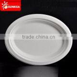 Food Grade Tableware Bagasse Paper Pulp Disposable Square Plate thumbnail-4