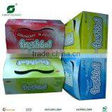 ICE CREAM/CHOCOLATE PACKING BOX (FP600029) thumbnail-3