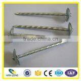 Roofing Nail Factory 3 Inch Electro Galvanized Twisted Shank thumbnail-2