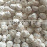 2015 China Garlic Price thumbnail-5
