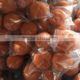 4 Inch Clean Out Ball for Washing Out Pump Pipe thumbnail-5