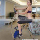 Professional Factory Supply Hot Exercise Bike