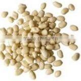 Chinese Blanched Peanut Kernels in Round Shape for Sale