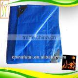 Blue Color 250gsm Tarp Shelter
