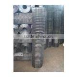 Electro Galvanized Welded Wire Netting