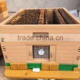 Multifunctional Langstroth Plastic Bee Hive thumbnail-3