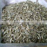 Dried Anchovy fish for sale