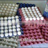 CE&ISO STANDRAD Egg Tray Machine thumbnail-5