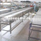 Accumulation Roller Conveyor
