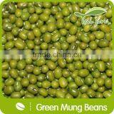 High Quality Green Mung Beans Foul Medames thumbnail-4