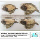 Wholesale dried flatfish/flounder fish