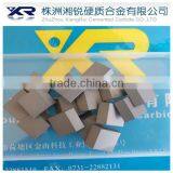 Tungsten Carbide Serrated Tip/ Carbide Serrated Tip