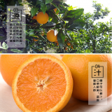 Juicy Chinese Orange /summer Orange thumbnail-4