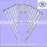 Hardened Steel Galvanized/Black Concrete Nails From China Factory thumbnail-2