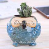 Succulent Color Owl Ceramic Mini Indoor Plants Pots thumbnail-5