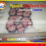 FROZEN STEAK SPANISH MACKEREL thumbnail-3