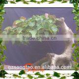 Best Price Hot Sale Domestic Artificial Small Bonsai Pine Tree thumbnail-5