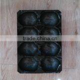 Plastic Tray Insert for Apple, Thermoformed Plastic Tray Insert for Apple, Food Grade Plastic Tray Insert for Apple thumbnail-2