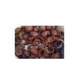 Corn Flakes Snack Food Machinery