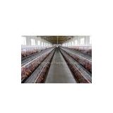 battery chicken cage  pigeon cage