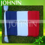 Promotion indoor/outdoor polyester 14*21cm France bunting string flag