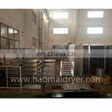 Hot Sale CT-C Hot Air Circulation Drying Oven for Purslane thumbnail-5