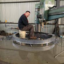 Dongyang Ss1937 Slewing Bearing Slewing Ring Ss2036 Doos an Excavator Swing Bearing Parts Slew Gear thumbnail-2