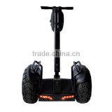 Good quality Reasonable price electric utility vehicle,freestyle scooter