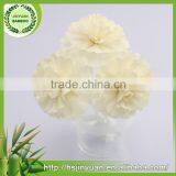 Flower Reedwood Essential Oil Diffuser thumbnail-3