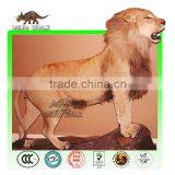 African Animatronic Lion thumbnail-1