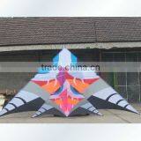 10m Delta Kites