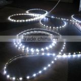 5050SMD LED flexible strips
