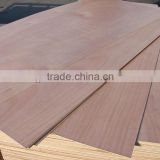 doorskin plywood with all sizes                        
                                                                                Supplier's Choice