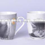 12oz New Bone China Mug With Cat Decal Printing,souvenir Coffee Mug Hunan Ceramic Factory