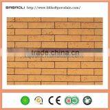 New Kind of Building Ceo-decorative Material Outdoor Decorative Tiles for Interior and Exterior thumbnail-2
