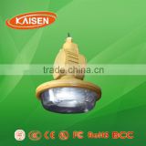 40w high quality made in china energy saving induction explosion-proof lighting
