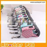 Promotional Extendable Pet Retractable Dog Leash
