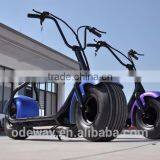 Citycoco Adult Big Wheel Fat Tire Scooter Fat Scooter Big Wheel Scooter for Outdoor